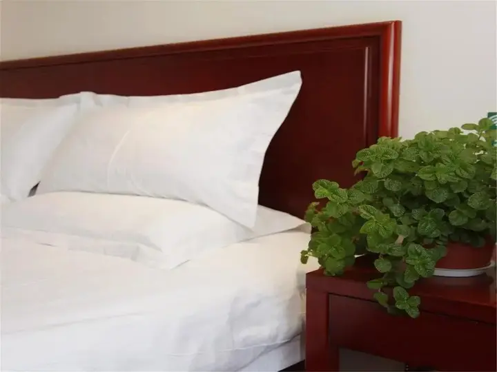 Харбин: GreenTree Alliance Heilongjiang Province Haerbin Chengde Square Chengde Street Hotel