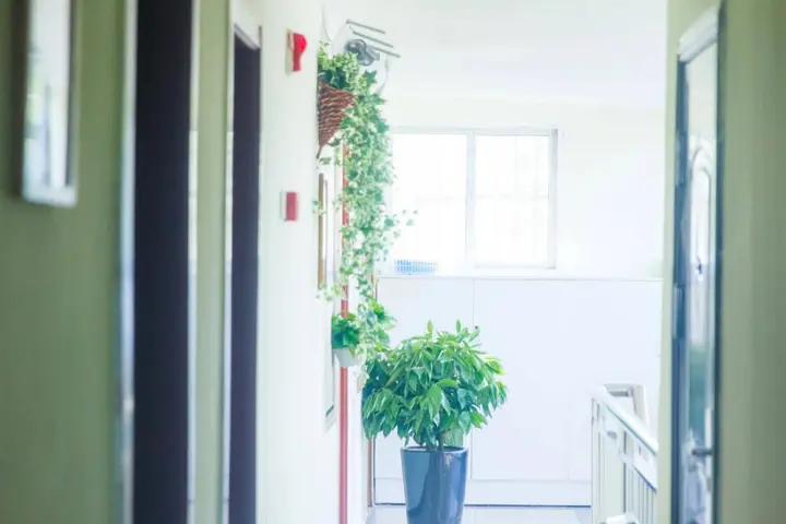 Пекин: Beijing Alley International Youth Hostel