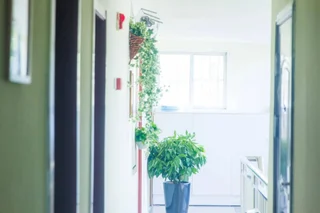 Пекин: Beijing Alley International Youth Hostel