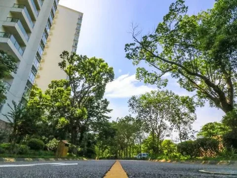 Хойчжоу: Huidong Xunliaowan Fengchidao Jinghan Apartment
