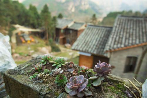Тайчжоу: Our Village Hostel