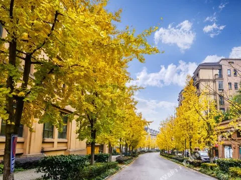 Чунцин: Mishi Hotel