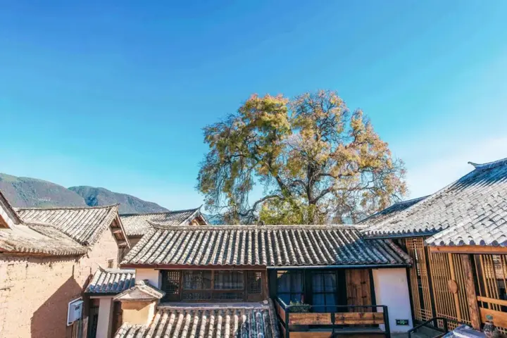 Дали: Dali Shaxi Qing Jing Courtyard