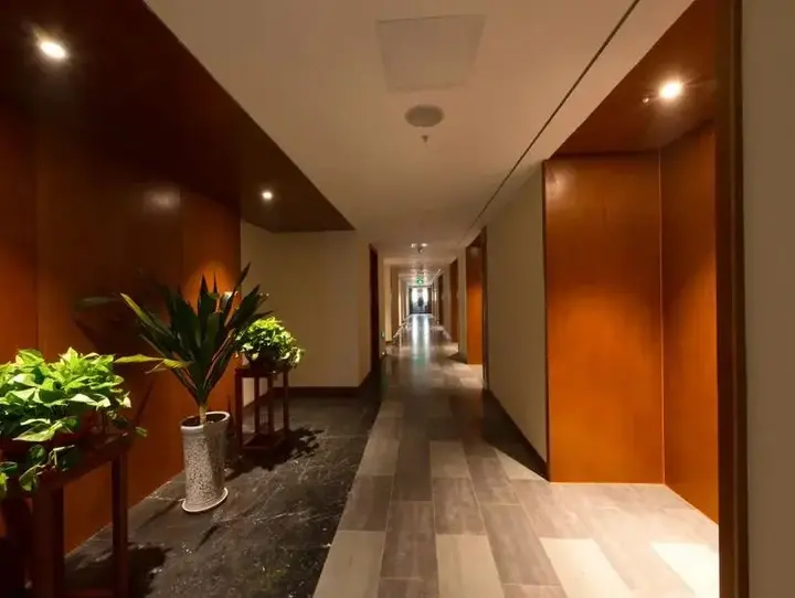 Чэнду: Boke Manor Zen Tea Hotel