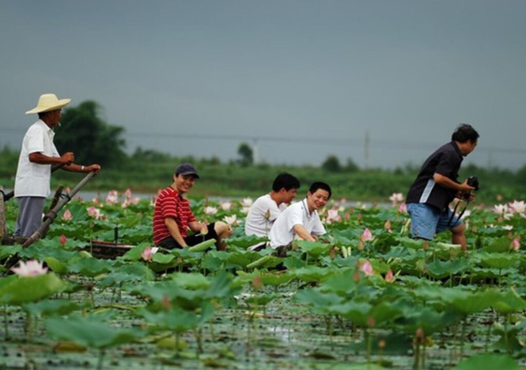 Джиангме: Heshan Country Garden Phoenix Hotel