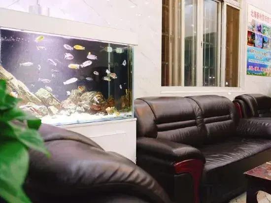 Бэйхай: Zidingxiang Hostel