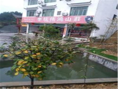 Шанграо: Wuyuan Likeng Weihong Inn
