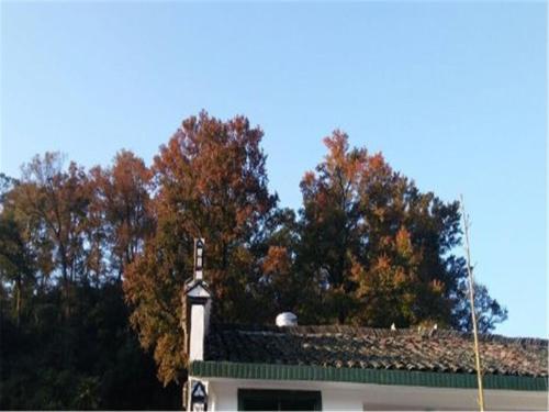 Шанграо: Changxi Happy Farm Stay