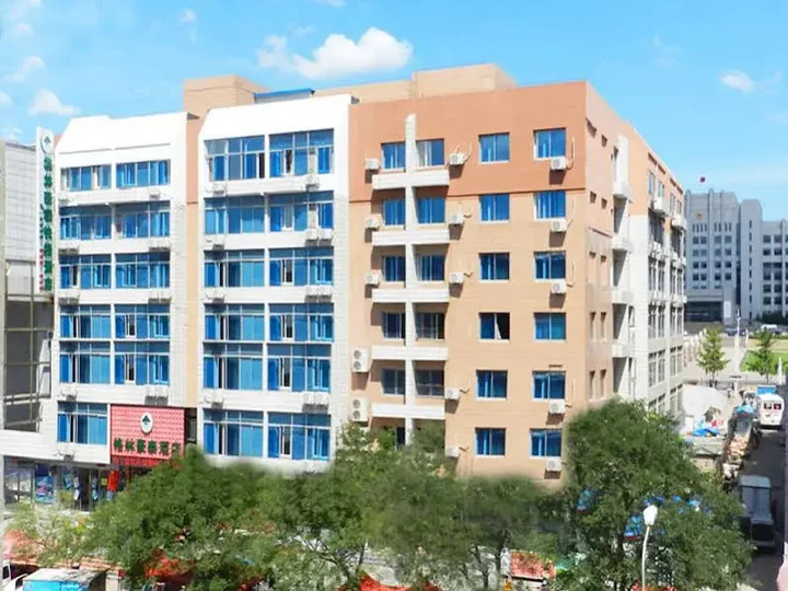 Далянь: Greentree Inn Liaoning Dalian Development Zone Jinma Road Pedestrian Street Express Hotel
