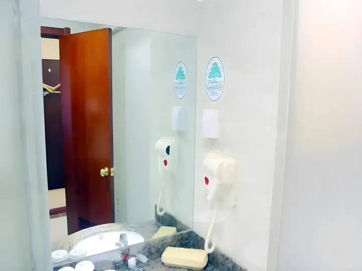 GreenTree Inn Jiangyin Zhouzhuang Shiji Avenue Business Hotel — фото 1
