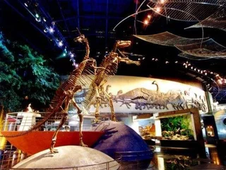 Чанчжоу: GreenTree Inn Changzhou Dinosaur City Qingyang North Road Business Hotel