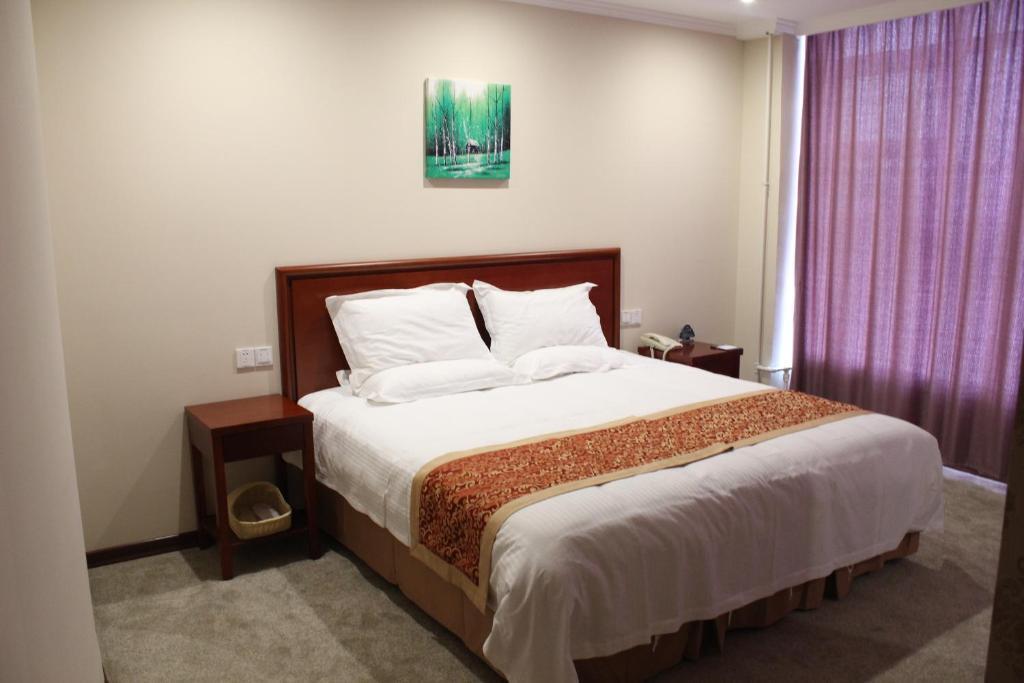 Нанкин: Greentree Inn Nanjing China Gate Subway Station Express