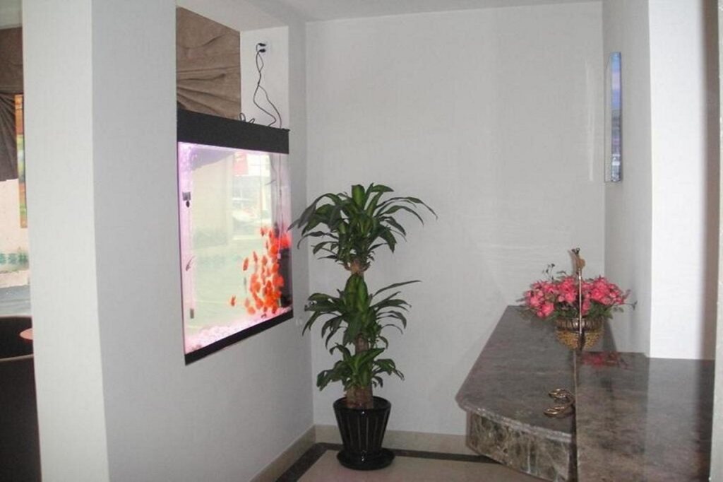 Шанхай: GreenTree Inn Shanghai ZhangJiang