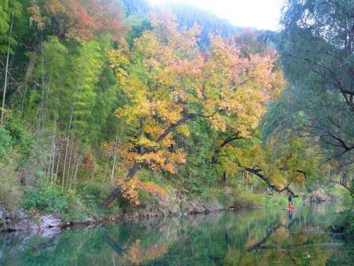 Шанграо: Wuyuan Jiangling Port Homestay
