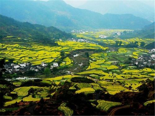 Шанграо: Wuyuan Jiangling Port Homestay