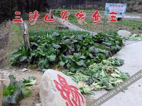 Шанграо: Shangrao Sanqing Mountain Nongjia Yuzhuang