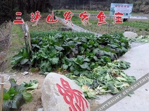 Шанграо: Shangrao Sanqing Mountain Nongjia Yuzhuang
