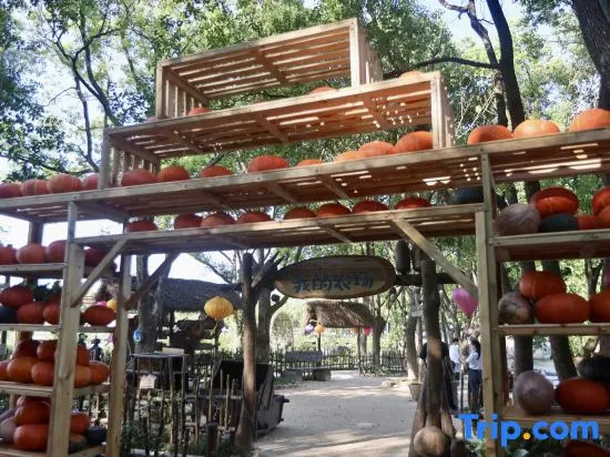 Уси: Yu Shui Hot Spring Hotel