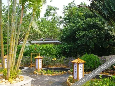 Янгиианг: Yangxi Hotspring Resort