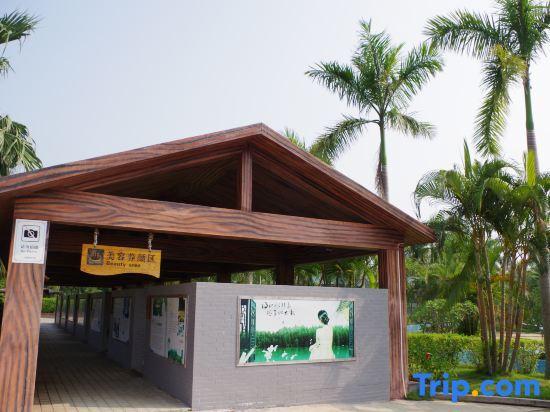 Янгиианг: Yangxi Hotspring Resort