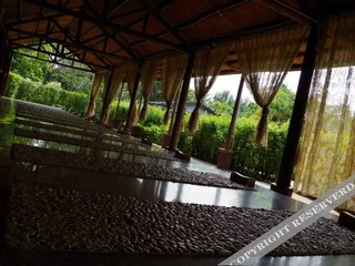 Янгиианг: Yangxi Hotspring Resort