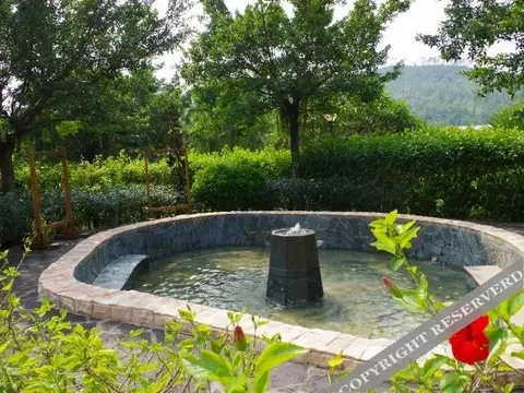 Янгиианг: Yangxi Hotspring Resort
