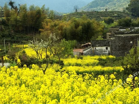 Шанграо: Youyicun Inn