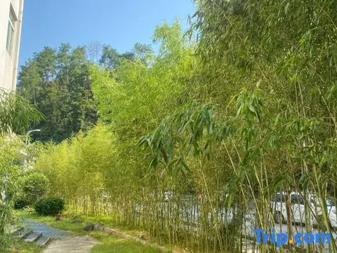 Шанграо: Jiangwan Hotel
