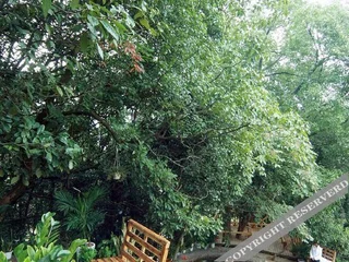 Лишуй: Tangmuyuan Hot Spring Hotel