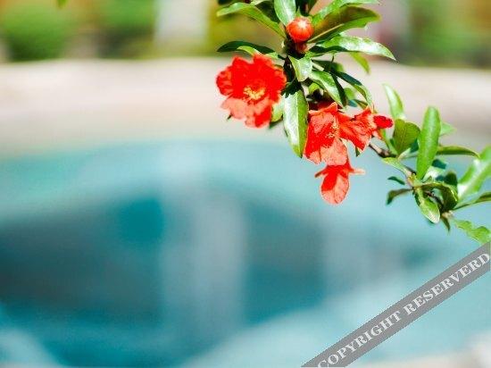 Сиань: Huaqing Palace Resort & Spa