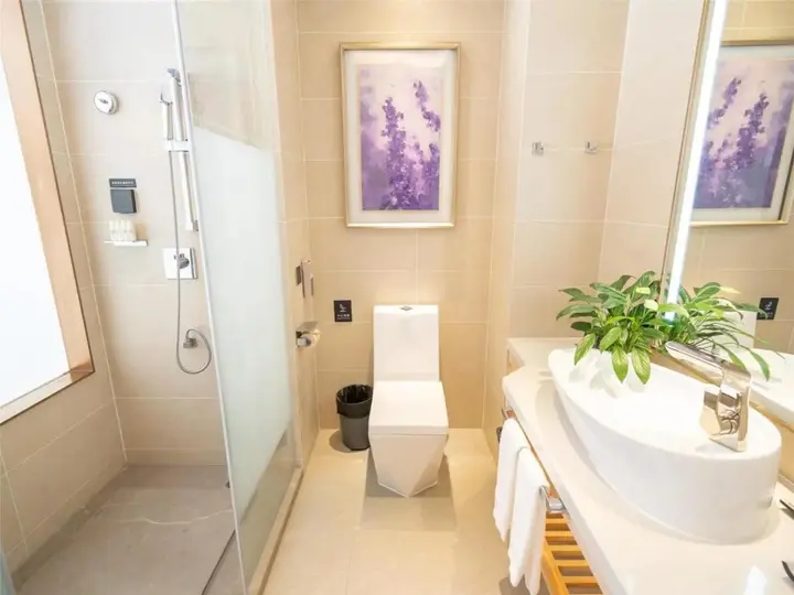 Чжуншань: Xindi Hotel