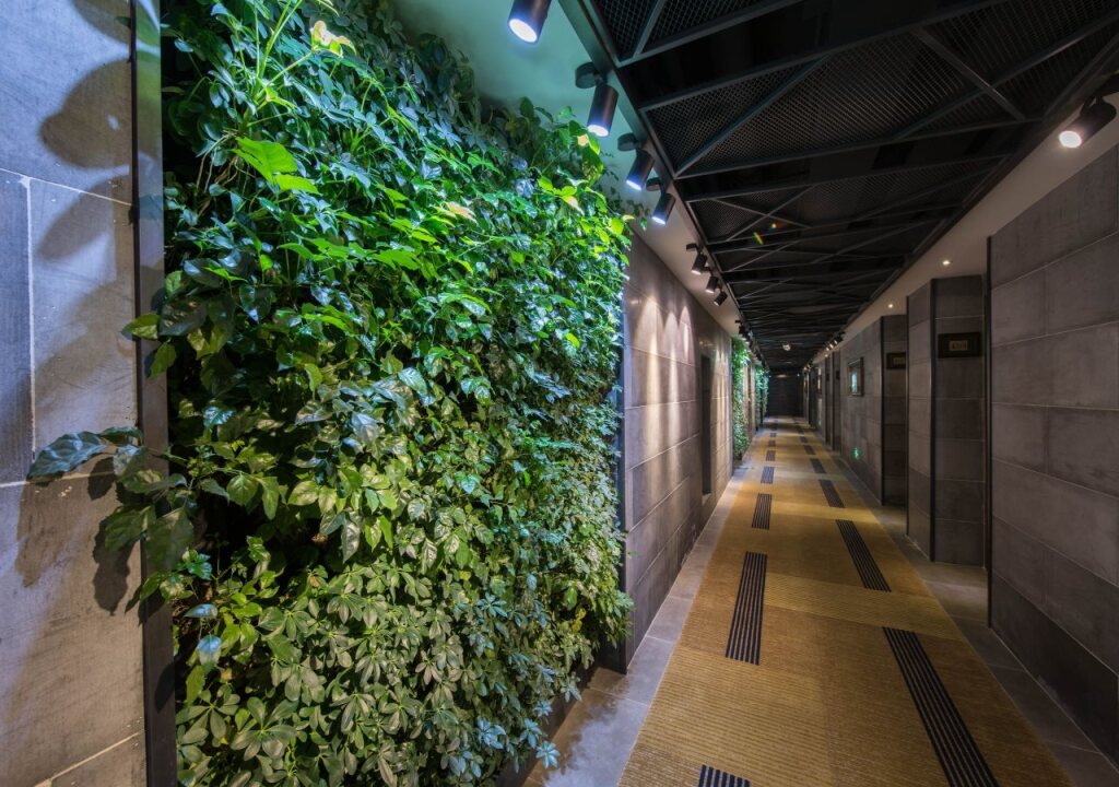 Ханчжоу: SHOWSE Wellness Hotel