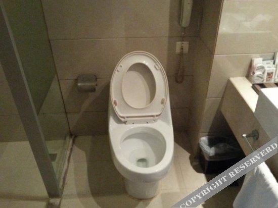 Паниин: Panjin International Hotel