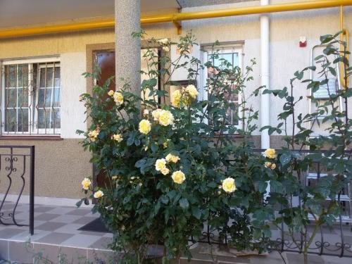 Sea Breeze Rooms — фото 2