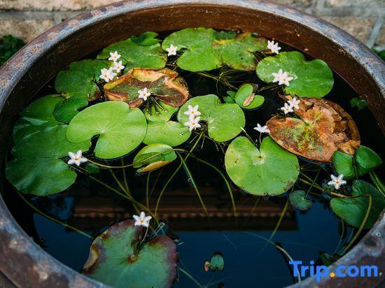 Сямынь: Xiamen Gulangyu Island Lilac Garden Guesthouse