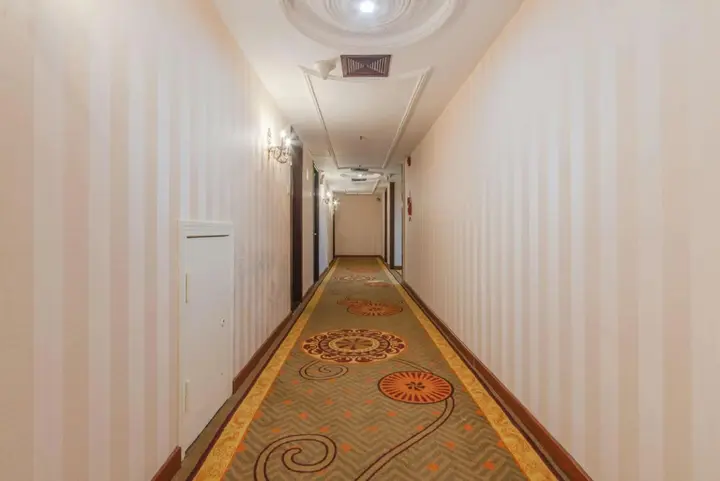 Цзеян: Temeisi Hotel