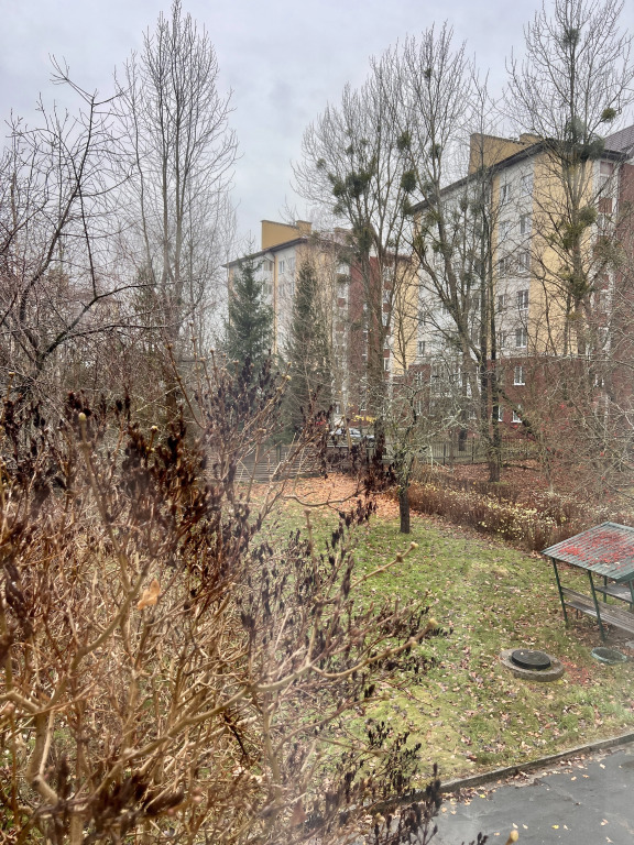 Светлогорск: Гостиница Чайка