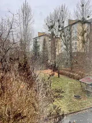 Светлогорск: Чайка