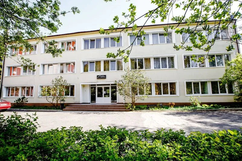 Светлогорск: Чайка