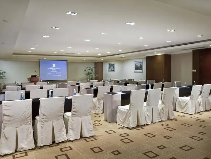 Чэнду: Millennium Hotel Chengdu