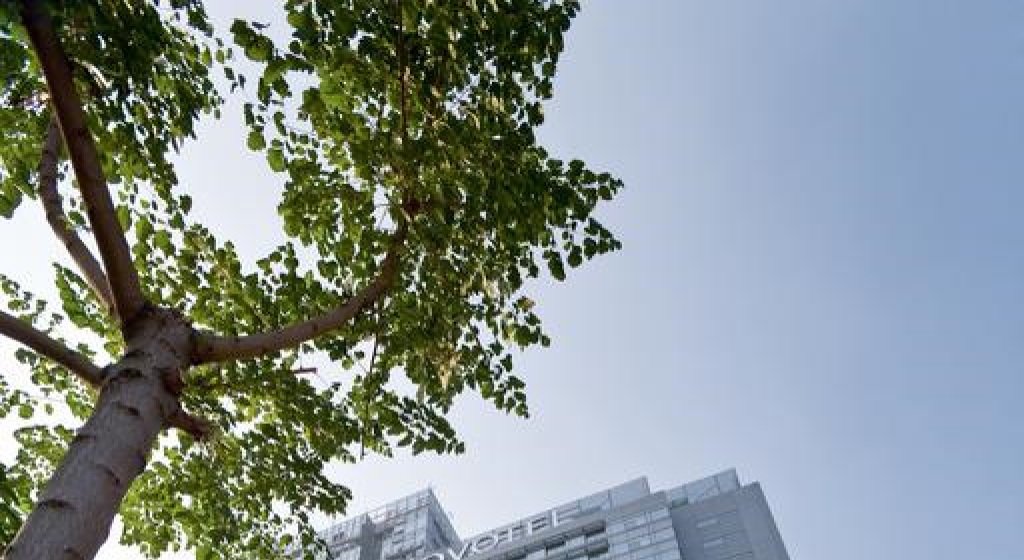 Пекин: Novotel Beijing Sanyuan