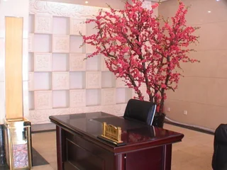 Пекин: Beijing Botaihotel