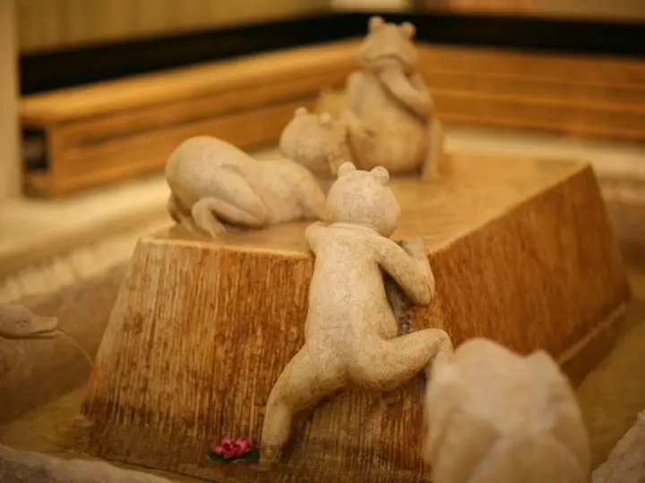 Шанхай: Baolong Hotel Shanghai