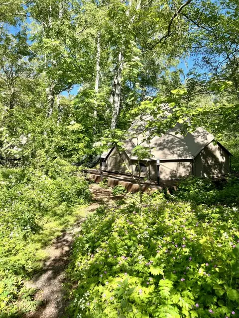 Лесной: Polyana Glamping (Поляна Глэмпинг)
