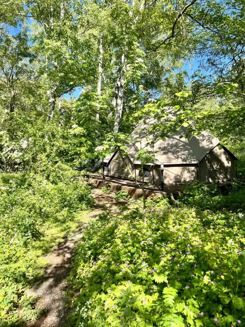 Лесной: Polyana Glamping (Поляна Глэмпинг)
