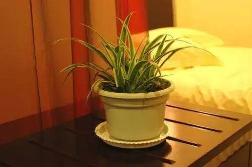 Нанкин: Nanjing New Noble Business Hotel