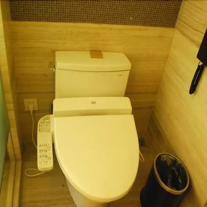 Цзясинь: Chalon International Hotel