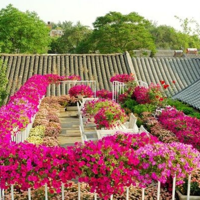Пекин: Peking Yard Boutique Hotel