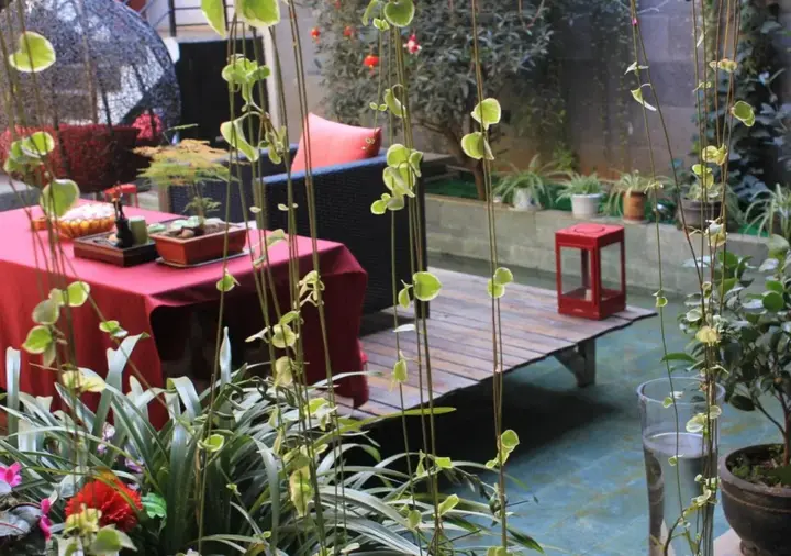 Лицзян: Lijiang Lu House Boutique Hotel