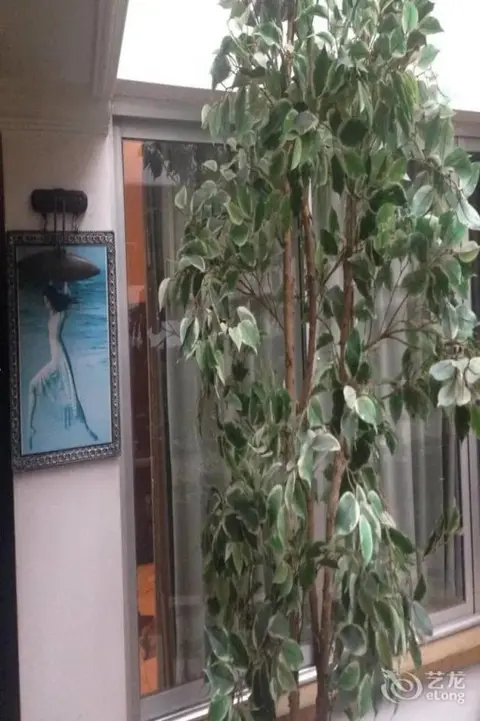 Гуйлинь: Li Jing Hotel Guilin
